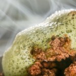 Smoked Cornmeal Encrusted Oysters
